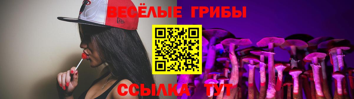 Псилоцибиновые грибы мухоморы  Псилоцибиновые грибы мицелий  Шебекино  Вход с VPN 